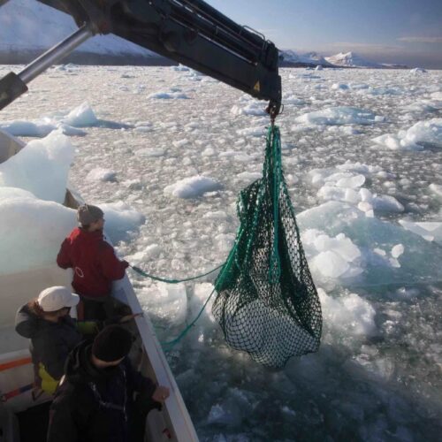 Svalbardi北極斯瓦巴蒂冰山水｜品水師嚴選